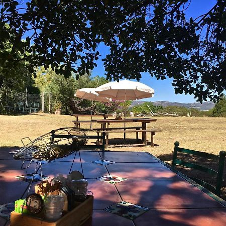 Shepherd'S Tree Backpackers นิสนา ภายนอก รูปภาพ