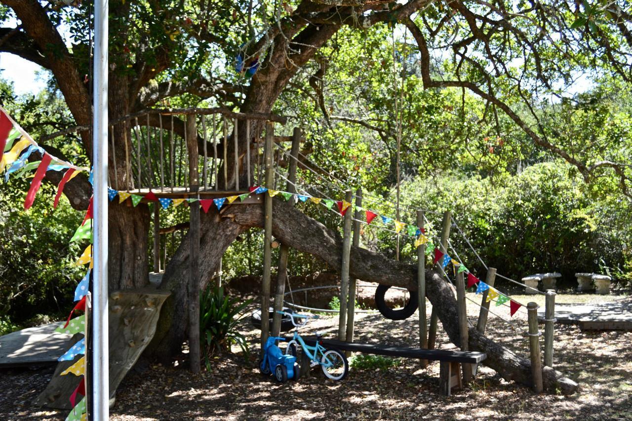 Shepherd'S Tree Backpackers นิสนา ภายนอก รูปภาพ