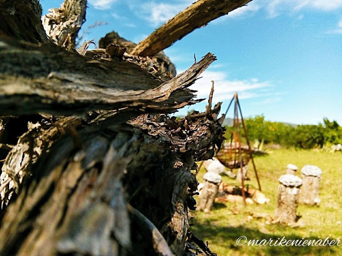Shepherd'S Tree Backpackers นิสนา ภายนอก รูปภาพ