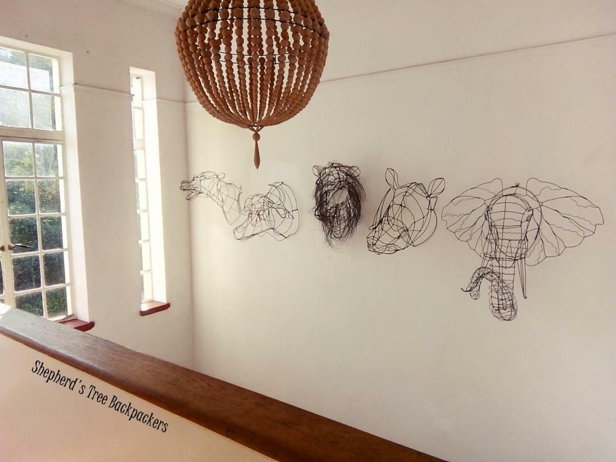Shepherd'S Tree Backpackers นิสนา ภายนอก รูปภาพ